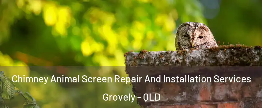 Chimney Animal Screen Repair And Installation Services Grovely - QLD