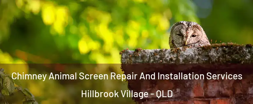 Chimney Animal Screen Repair And Installation Services Hillbrook Village - QLD