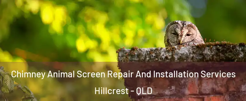 Chimney Animal Screen Repair And Installation Services Hillcrest - QLD