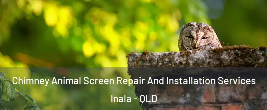 Chimney Animal Screen Repair And Installation Services Inala - QLD
