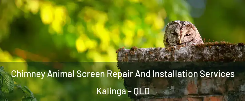Chimney Animal Screen Repair And Installation Services Kalinga - QLD