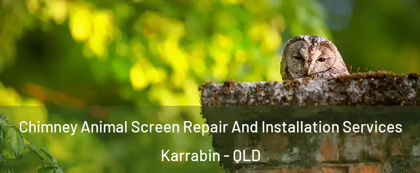 Chimney Animal Screen Repair And Installation Services Karrabin - QLD