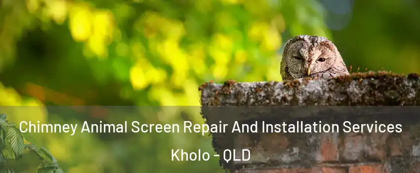 Chimney Animal Screen Repair And Installation Services Kholo - QLD
