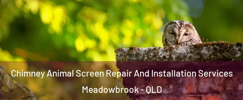 Chimney Animal Screen Repair And Installation Services Meadowbrook - QLD