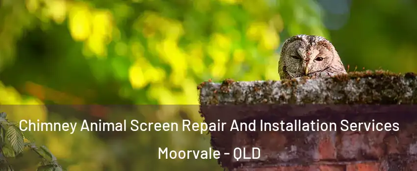 Chimney Animal Screen Repair And Installation Services Moorvale - QLD