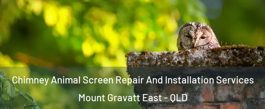 Chimney Animal Screen Repair And Installation Services Mount Gravatt East - QLD