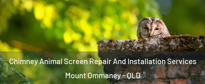 Chimney Animal Screen Repair And Installation Services Mount Ommaney - QLD