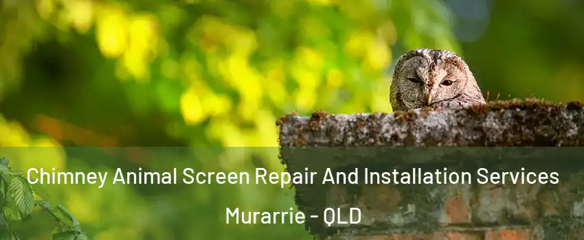 Chimney Animal Screen Repair And Installation Services Murarrie - QLD