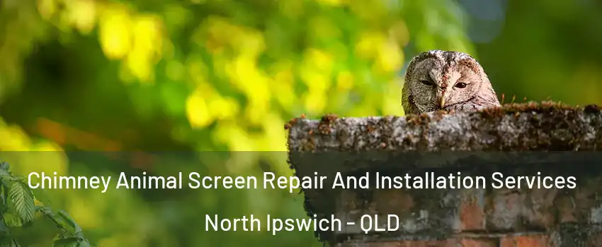 Chimney Animal Screen Repair And Installation Services North Ipswich - QLD
