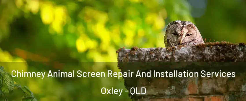Chimney Animal Screen Repair And Installation Services Oxley - QLD