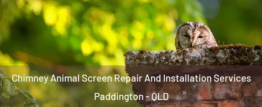 Chimney Animal Screen Repair And Installation Services Paddington - QLD