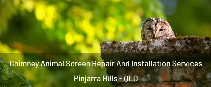 Chimney Animal Screen Repair And Installation Services Pinjarra Hills - QLD