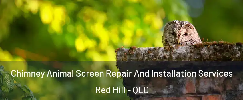 Chimney Animal Screen Repair And Installation Services Red Hill - QLD