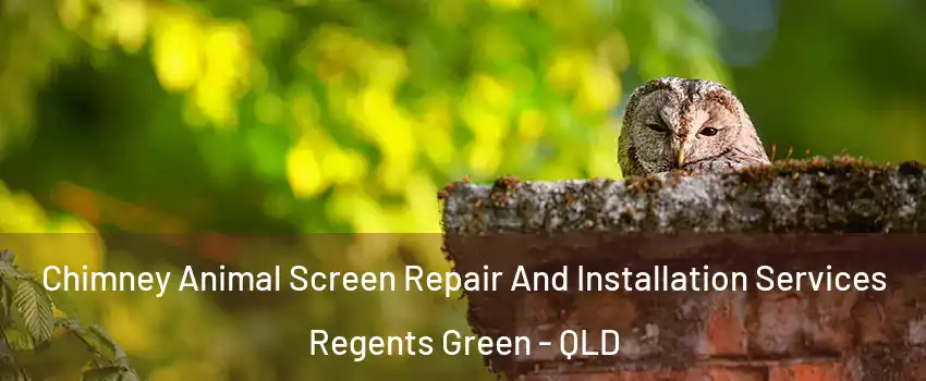 Chimney Animal Screen Repair And Installation Services Regents Green - QLD