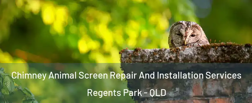 Chimney Animal Screen Repair And Installation Services Regents Park - QLD