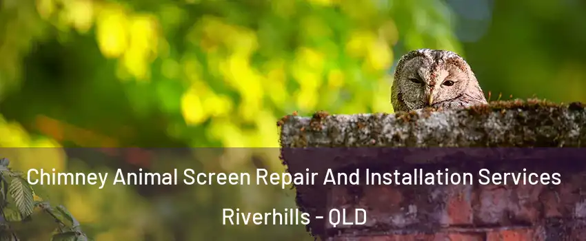 Chimney Animal Screen Repair And Installation Services Riverhills - QLD