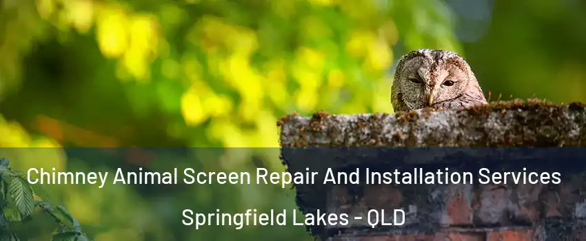 Chimney Animal Screen Repair And Installation Services Springfield Lakes - QLD