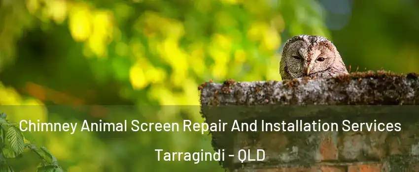 Chimney Animal Screen Repair And Installation Services Tarragindi - QLD