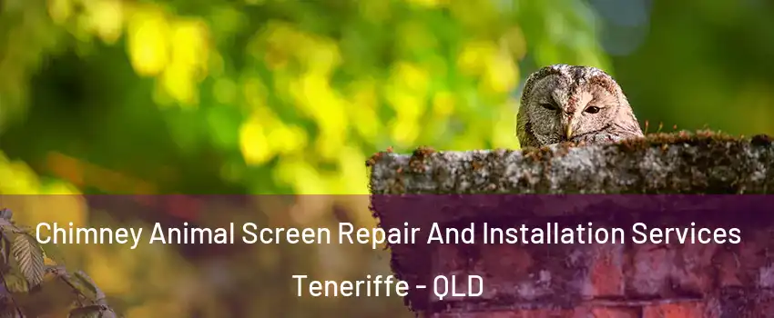 Chimney Animal Screen Repair And Installation Services Teneriffe - QLD