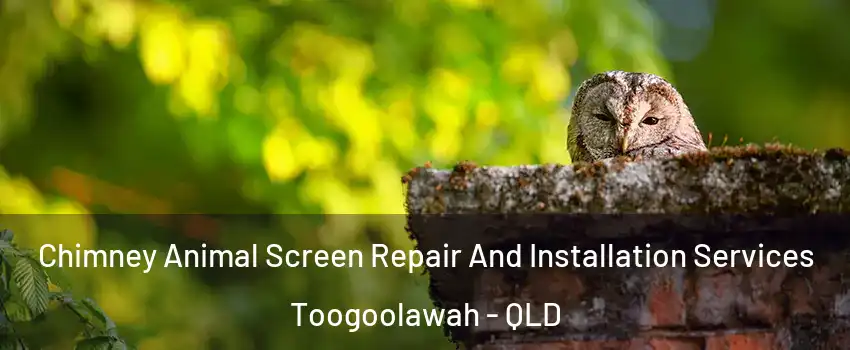Chimney Animal Screen Repair And Installation Services Toogoolawah - QLD