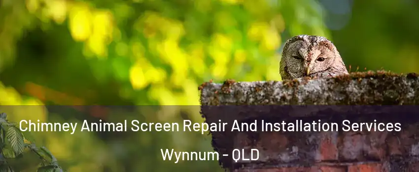 Chimney Animal Screen Repair And Installation Services Wynnum - QLD