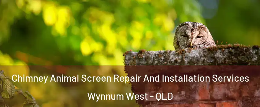 Chimney Animal Screen Repair And Installation Services Wynnum West - QLD