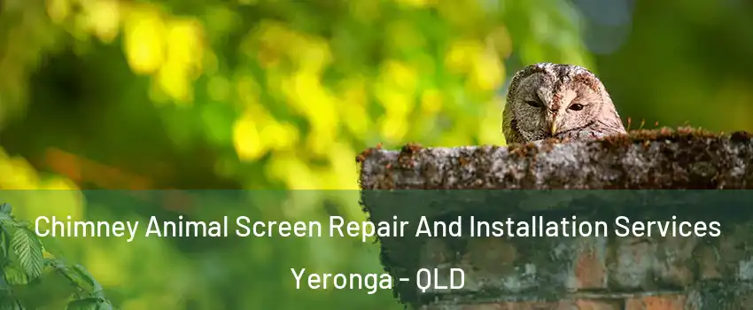 Chimney Animal Screen Repair And Installation Services Yeronga - QLD