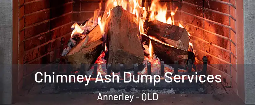 Chimney Ash Dump Services Annerley - QLD