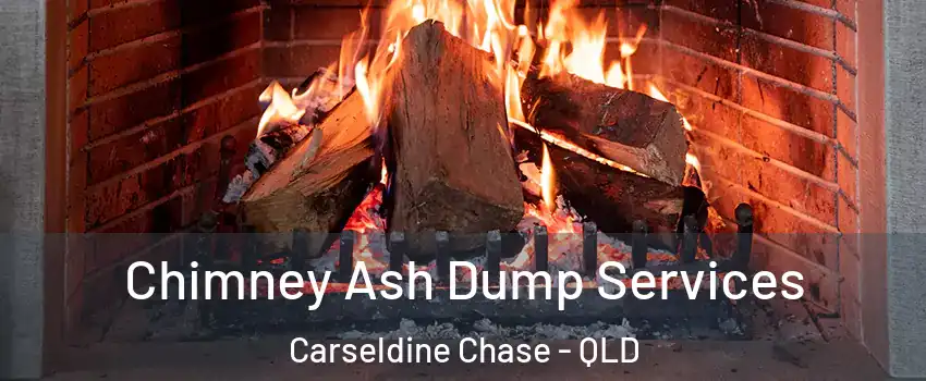 Chimney Ash Dump Services Carseldine Chase - QLD