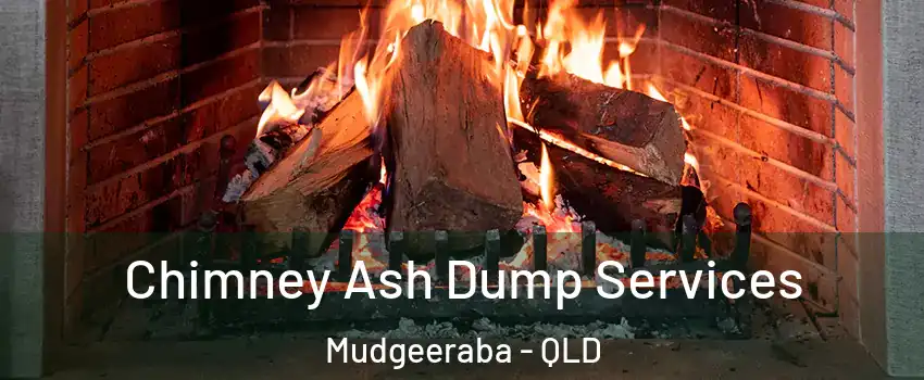 Chimney Ash Dump Services Mudgeeraba - QLD