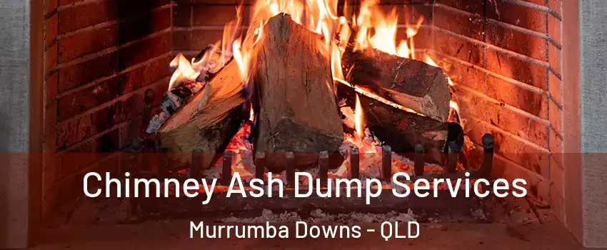 Chimney Ash Dump Services Murrumba Downs - QLD