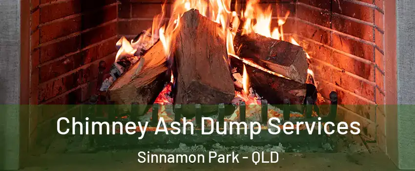 Chimney Ash Dump Services Sinnamon Park - QLD