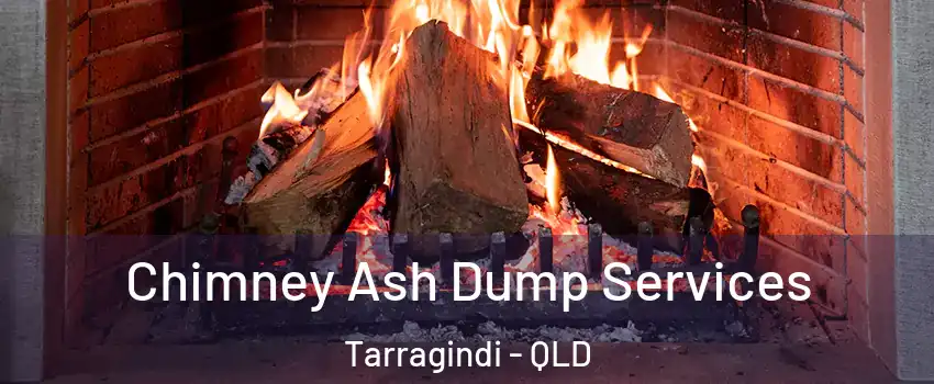 Chimney Ash Dump Services Tarragindi - QLD