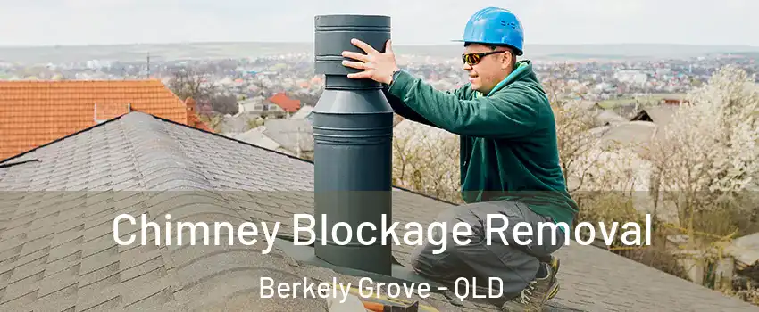 Chimney Blockage Removal Berkely Grove - QLD