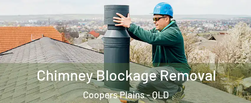 Chimney Blockage Removal Coopers Plains - QLD