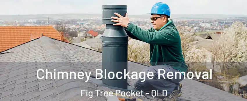 Chimney Blockage Removal Fig Tree Pocket - QLD