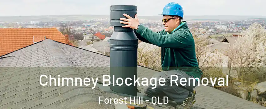 Chimney Blockage Removal Forest Hill - QLD