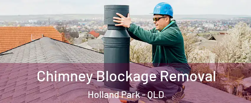 Chimney Blockage Removal Holland Park - QLD