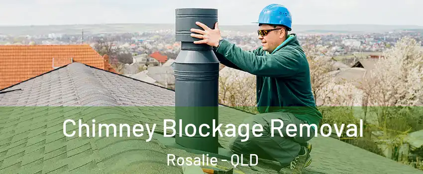 Chimney Blockage Removal Rosalie - QLD