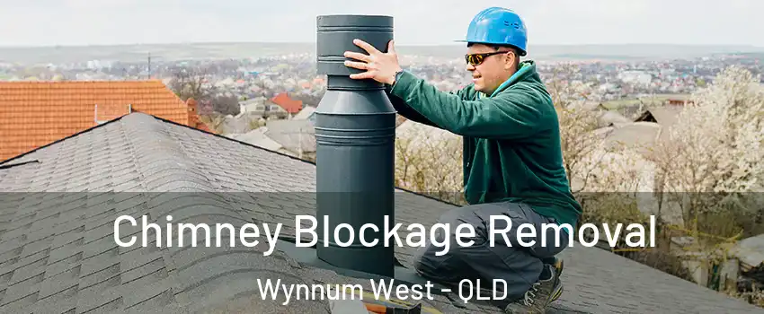 Chimney Blockage Removal Wynnum West - QLD