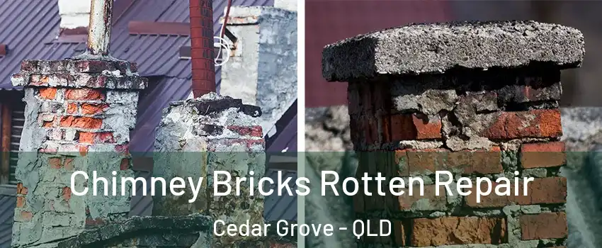 Chimney Bricks Rotten Repair Cedar Grove - QLD
