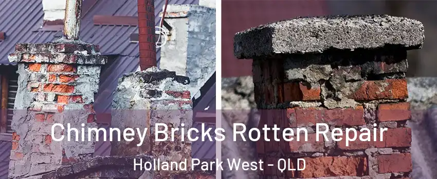 Chimney Bricks Rotten Repair Holland Park West - QLD