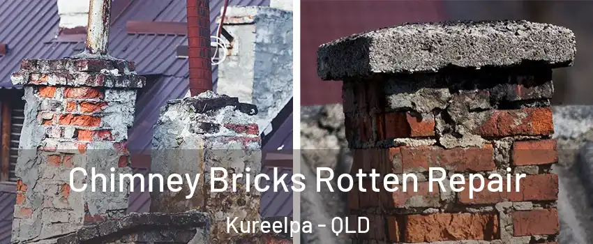 Chimney Bricks Rotten Repair Kureelpa - QLD