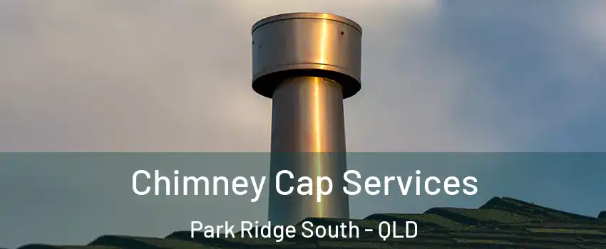 Chimney Cap Services Park Ridge South - QLD