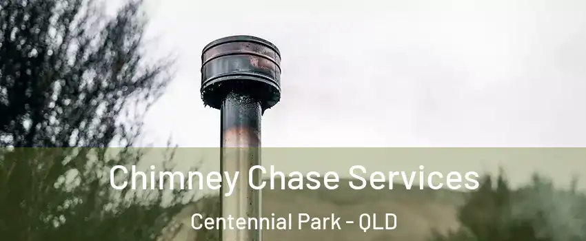 Chimney Chase Services Centennial Park - QLD