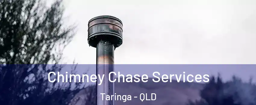 Chimney Chase Services Taringa - QLD