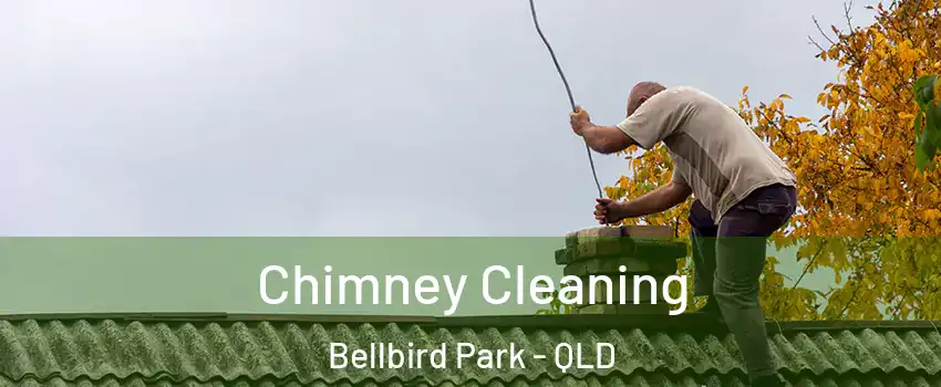 Chimney Cleaning Bellbird Park - QLD
