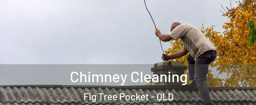 Chimney Cleaning Fig Tree Pocket - QLD