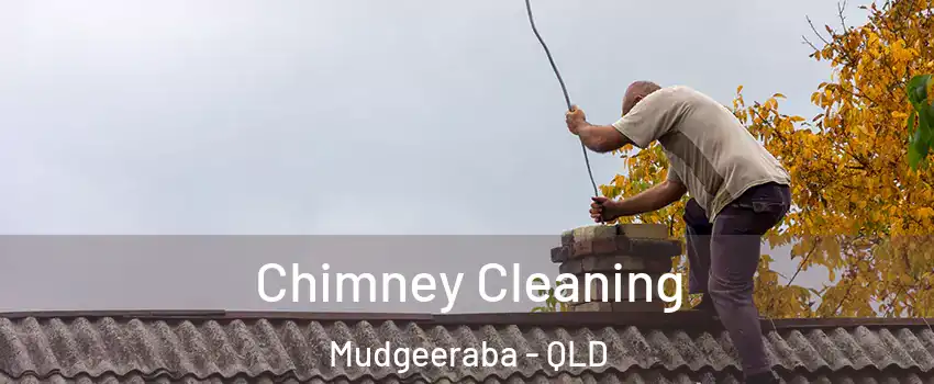 Chimney Cleaning Mudgeeraba - QLD