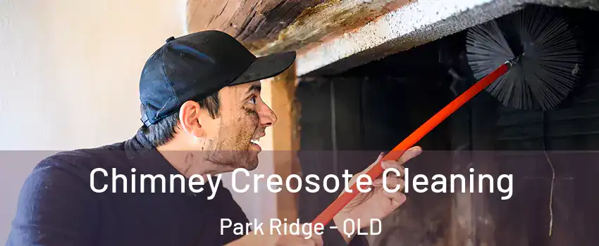 Chimney Creosote Cleaning Park Ridge - QLD